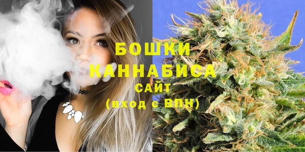 крисы Армянск
