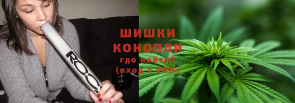 ПСИЛОЦИБИНОВЫЕ ГРИБЫ Аркадак
