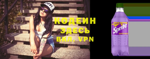 крисы Армянск