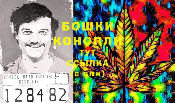 ПСИЛОЦИБИНОВЫЕ ГРИБЫ Аркадак