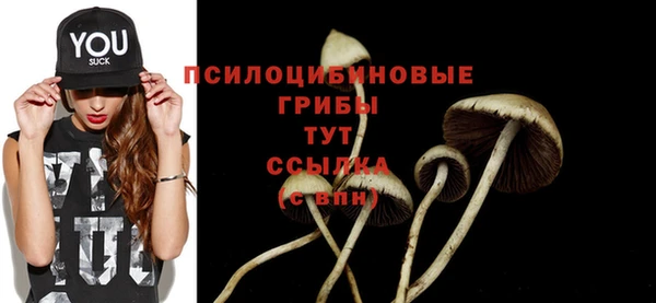 ПСИЛОЦИБИНОВЫЕ ГРИБЫ Аркадак