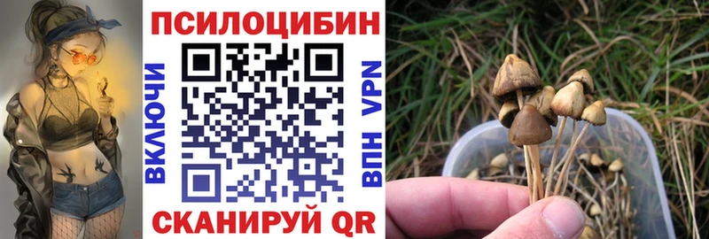 Псилоцибиновые грибы Cubensis  купить закладку  Оханск 